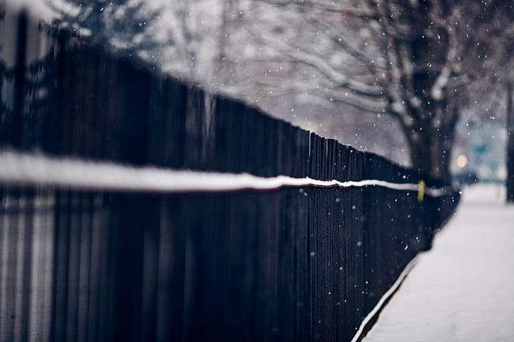 ต้นไม้, รั้ว, หิมะ, ในเมือง, ระยะชัดลึก, วอลล์เปเปอร์ HD
