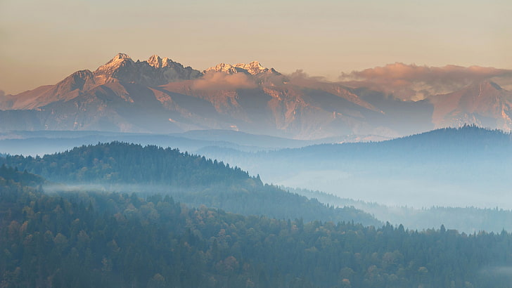 гора с туманами, зелеными деревьями и коричневой горой в дневное время, пейзаж, горы, горы Татры, HD обои