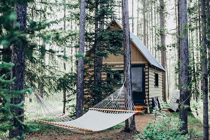 brown wooden cabin, hammock, forest, structure, HD wallpaper