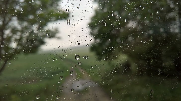 autumn, window, rain, rain drops, drops, nature, HD wallpaper