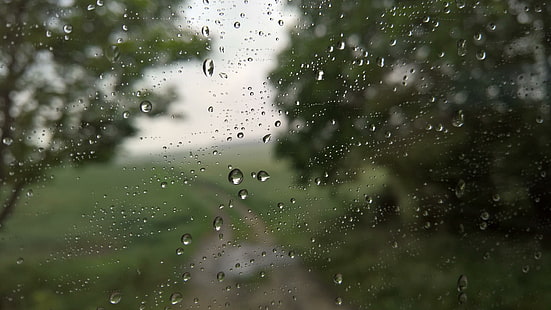 осень, окно, дождь, капли дождя, капли, природа, HD обои HD wallpaper