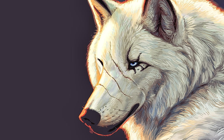 white fox digital wallpaper, wolf, animals, artwork, HD wallpaper