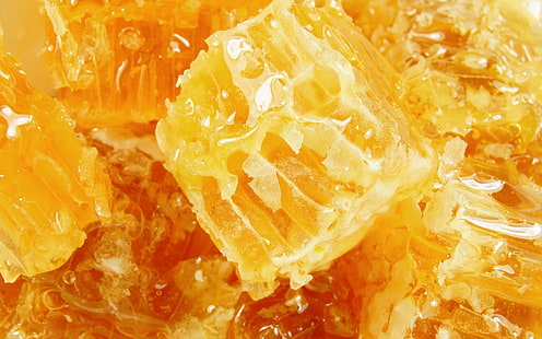 Honig, süß, Wabe, HD-Hintergrundbild HD wallpaper