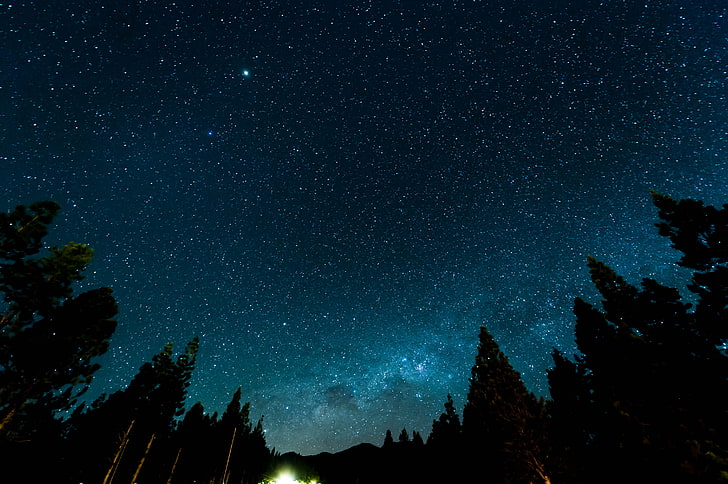céu estrelado, céu estrelado, noite, estrelas, floresta, nebulosa, HD papel de parede
