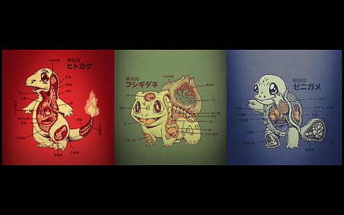 ilustracja trzech postaci Pokemonów, Pokémon, Charmander, Bulbasaur, Squirtle, anatomia, Tapety HD HD wallpaper