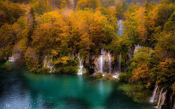 木、自然、風景、木、森、滝、湖、水に囲まれた滝、 HDデスクトップの壁紙