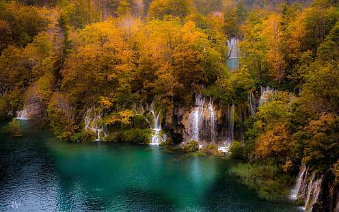 vattenfall omgiven av träd, natur, landskap, träd, skog, vattenfall, sjö, vatten, HD tapet HD wallpaper