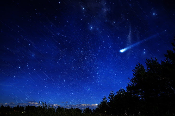 silhouette d'arbres pendant la nuit peinture, espace, étoiles, comète, Fond d'écran HD