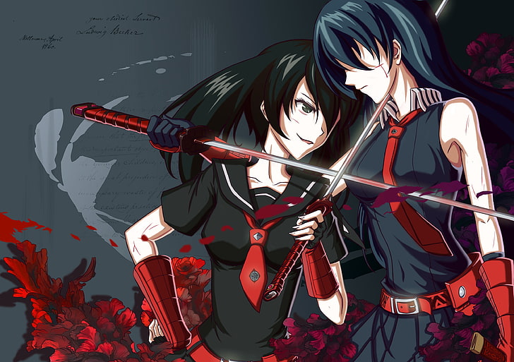 czarne włosy kobieta ilustracja postaci z anime, Akame ga Kill !, Akame, Kurome, miecz, anime girls, Tapety HD