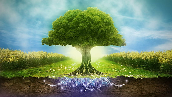 Selamat Hari Lingkungan Hidup Sedunia, bahagia, dunia, hari lingkungan, Wallpaper HD HD wallpaper