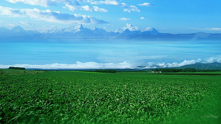 Sea Beyond The Fields, green plants, country, field, farm, mountains, green, clouds, 3d and abstract, HD wallpaper