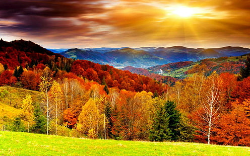 Pemandangan Musim Gugur, musim gugur, pemandangan, alami, Wallpaper HD HD wallpaper