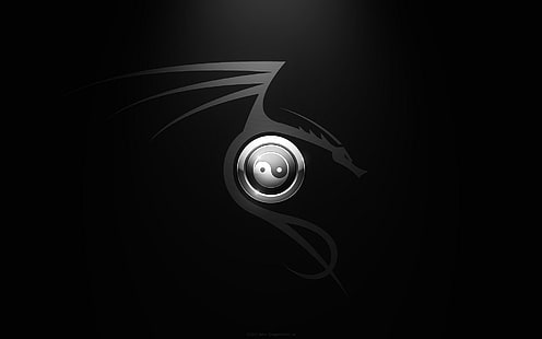 yang, yin, Tapety HD HD wallpaper