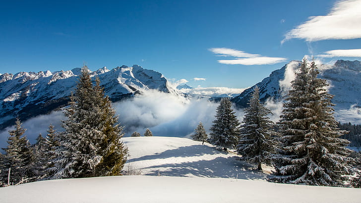 снимка на борови дървета, покрити със сняг близо до планината през деня, la clusaz, la clusaz, La Clusaz, снимка, борови дървета, сняг, планина, през деня, Haute Savoie, пейзаж, природа, Auvergne Rhône Alpes, neige, зима, европейски Алпи, на открито, гора, живопис, дърво, синьо, HD тапет