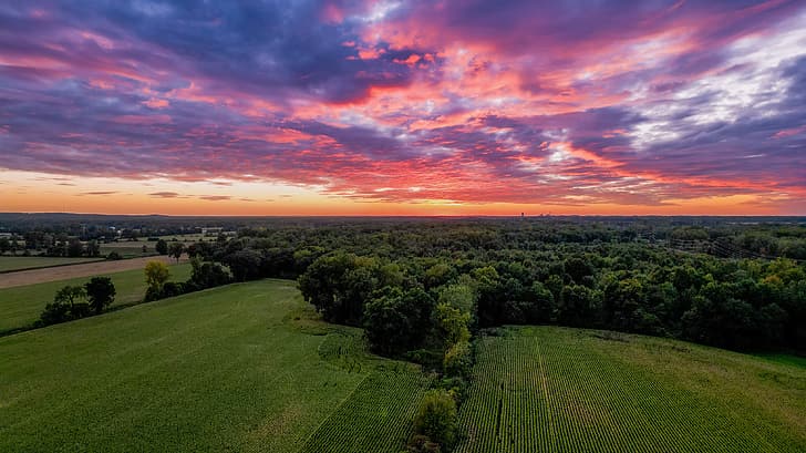 corn, landscape, drone, trees, clouds, farm, sunset, drone photo, HD wallpaper