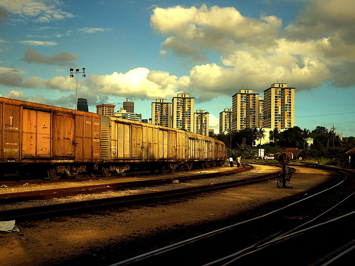 brown and white train, town, railway, suburban, houses, trees, autumn, HD wallpaper