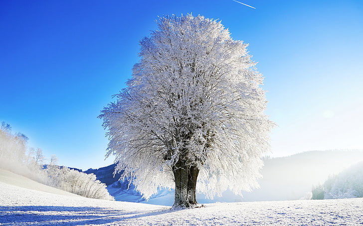 Sfondo idilliaco paesaggio invernale-Natura HD, Sfondo HD