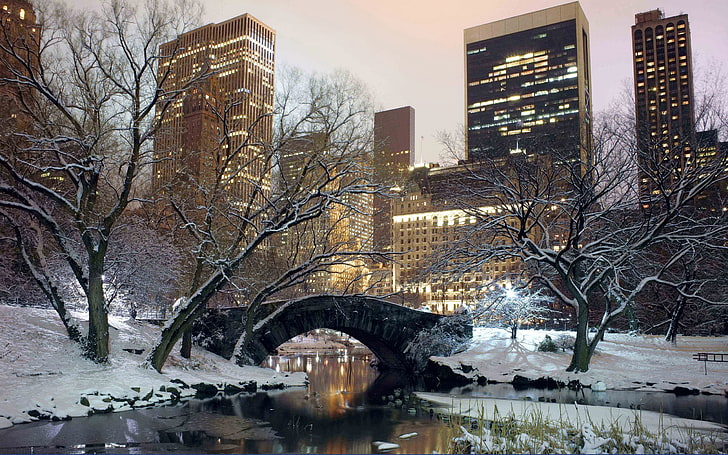 graues konkretes Gebäude und Brücke, Winter, Park, Amerika, Brücke, New York, HD-Hintergrundbild