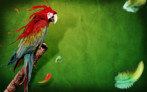 Splash of Parrot, parrot, splash, animals and birds, HD wallpaper HD wallpaper