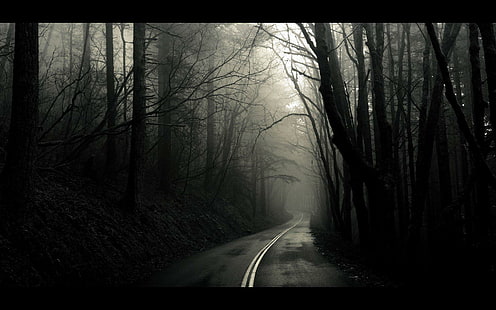 Dark Road, cool, black, nature, nice, long, awesome, white, dark, photography, road, photo, 3d and abstract, HD wallpaper HD wallpaper