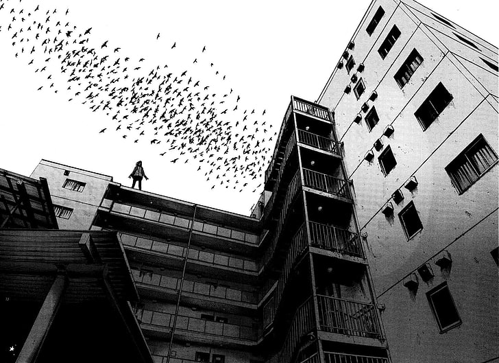 bâtiment en béton noir et blanc, bâtiment, oiseaux, monochrome, Fond d'écran HD