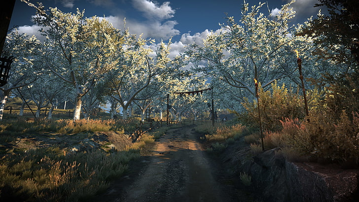 The Witcher, The Witcher 3: Wild Hunt, videogame, paisagem, floresta, HD papel de parede