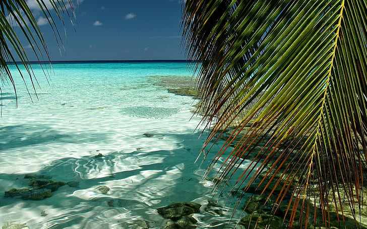 몰디브 인도양, 해변, 자연, 몰디브, 인도, 바다, HD 배경 화면