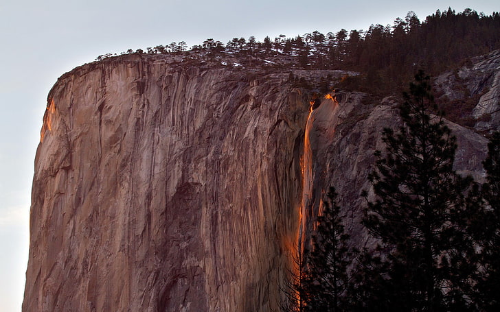 zielone drzewa liściaste, krajobraz, skała, wodospad, upadek skrzypu, Park Narodowy Yosemite, góry, Tapety HD