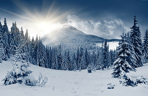 5k, 4k, sol, neve, montanha, floresta de inverno, pinheiros, HD papel de parede HD wallpaper