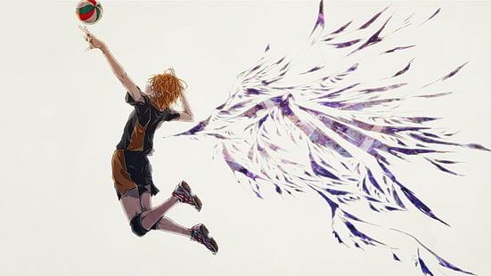 illustration de personnage masculin, Anime, Haikyu !!, Haikyū !!, Shōyō Hinata, Sport, Volleyball, Fond d'écran HD HD wallpaper