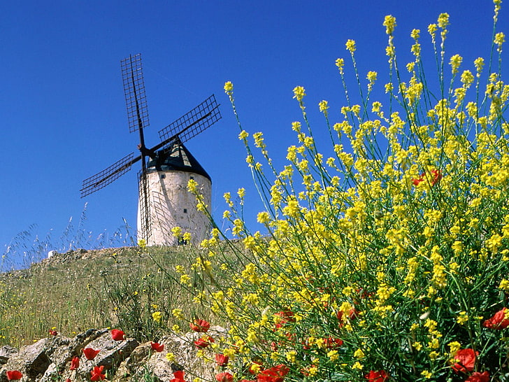 white windmill house, flowers, mill, Spain, HD wallpaper