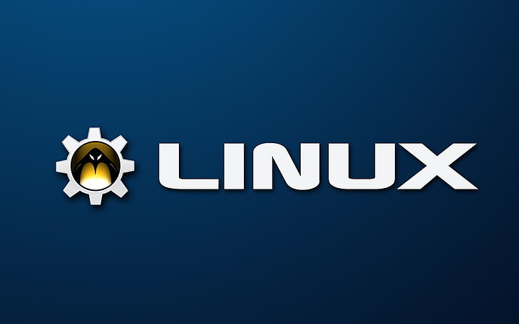 Linux, Tux, penguins, logo, HD wallpaper