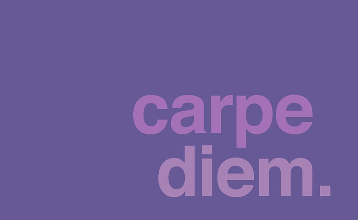 Carpe Diem, testo di carpe diem su sfondo viola, artistico, tipografia, Carpe, Diem, Sfondo HD