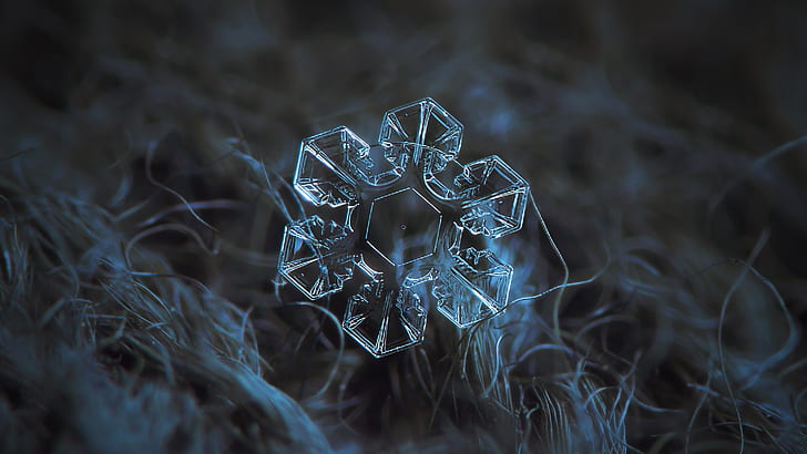 macro photography, close up, snowflake, darkness, crystal, snow, winter, blue, ice, frost, icing, chilly, flake, HD wallpaper