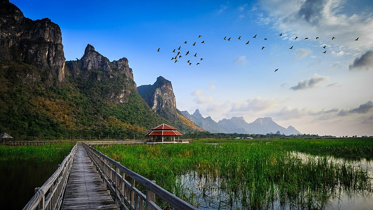 ponte di legno attraverso la montagna, Tailandia, Thai, colline, roccia, natura, acqua, uccelli, cielo, nuvole, passerella, alberi, fresco, rilassante, paesaggio, Sfondo HD