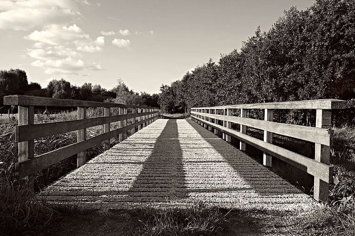 black and white, bridge, crossing, daylight, forest, grass, lake, landscape, light, monochrome, nature, outdoors, park, pathway, shadow, structure, trees, water, wooden, wooden bridge, woods, HD wallpaper
