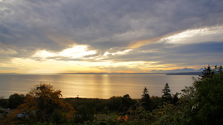 landscape, beach, sunset, coast, Washington state, nature, HD wallpaper