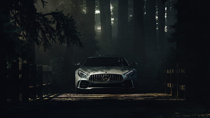 car, Mercedes-Benz S Class, forest, shadow, HD wallpaper
