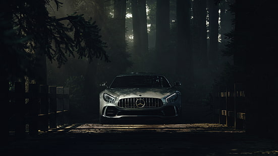 auto, Mercedes-Benz Classe S, foresta, ombra, Sfondo HD HD wallpaper