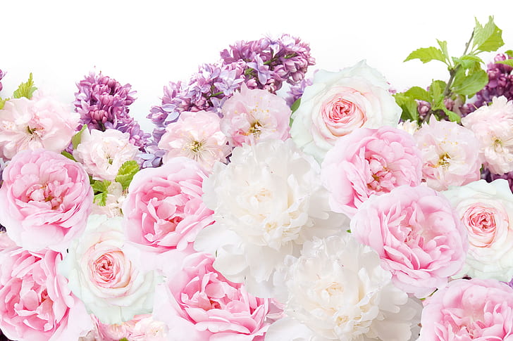Pfingstrosen Blumen, rosa und weiße Rose Bouquet, Blumen, Pfingstrosen, Rosen, Flieder, HD-Hintergrundbild