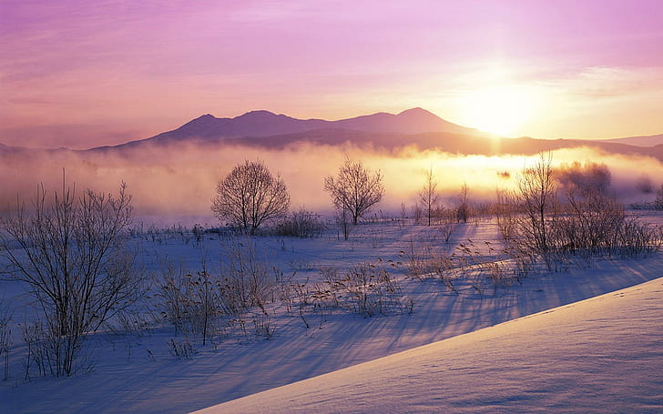 Snowy Dawn, neigeux, aube, nature et paysage, Fond d'écran HD