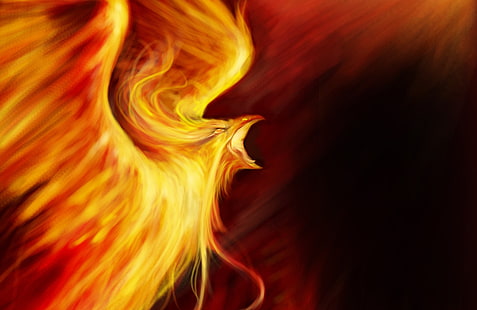 феникс илюстрация, огън, птица, фантазия, изкуство, Феникс, HD тапет HD wallpaper