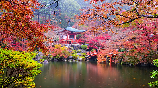 будизъм, будистки храм, дайго-джи, Япония, Киото, клон, езерце, небе, кленово дърво, отражение, кленов лист, растение, вода, храм, дърво, есен, листа, природа, HD тапет HD wallpaper
