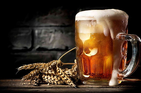 Schaum, Glas, Bier, Ährchen, HD-Hintergrundbild HD wallpaper