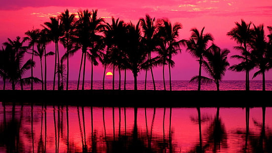 resplandor crepuscular, estados unidos, aldea de waikoloa, hawaii, calma, cielo rojo, anochecer, tarde, árboles, silueta, puesta de sol, reflexión, puesta de sol de verano, puesta de sol rosa, cielo rosa, palmeras, palmera, Fondo de pantalla HD HD wallpaper