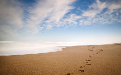Beach Ocean Footprints HD ، الطبيعة ، المحيط ، الشاطئ ، آثار الأقدام، خلفية HD HD wallpaper