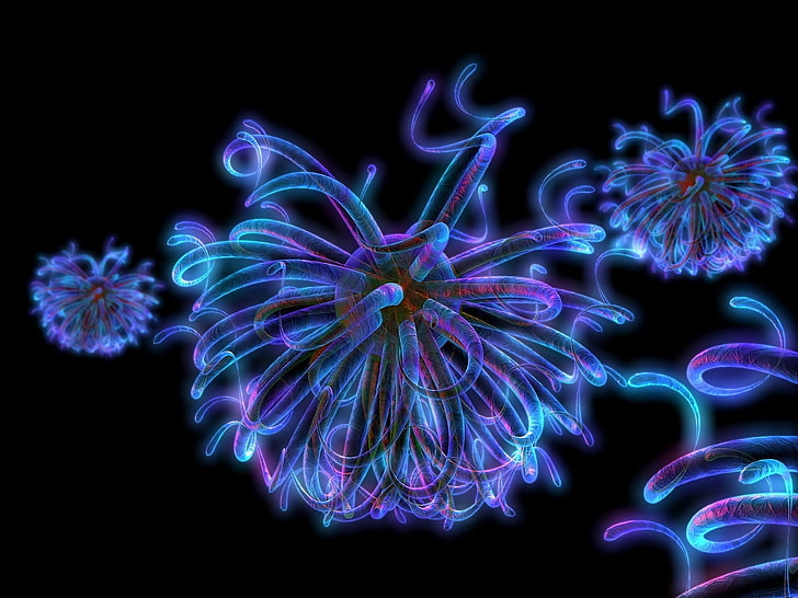 purple micro organism illustration, background, dandelion, black, neon, HD wallpaper