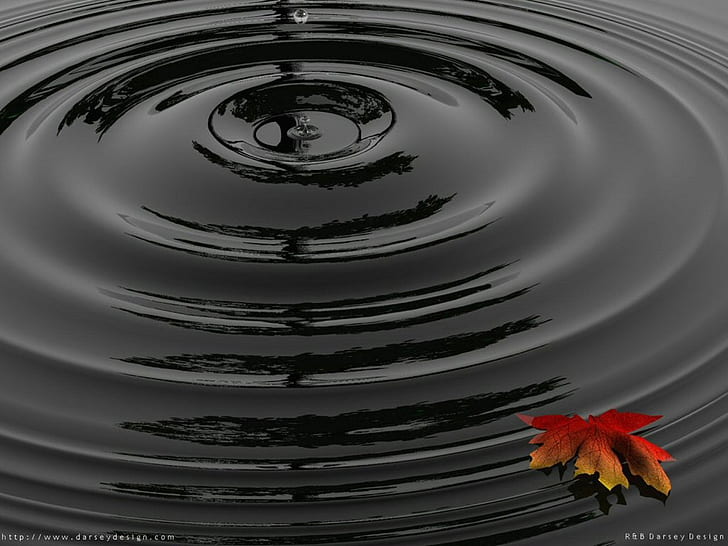 maple leaf ripples Water Wave Nature Other HD Art , ripples, maple leaf, swirling water, HD wallpaper
