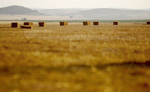 Straw Bales, La Mancha, Spain, brown bale of hay lot, Europe, Spain, Field, Golden, Bales, Straw, la mancha, HD wallpaper HD wallpaper