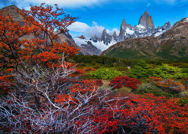 fall, mountains, forest, Patagonia, trees, snowy peak, Argentina, nature, landscape, HD wallpaper